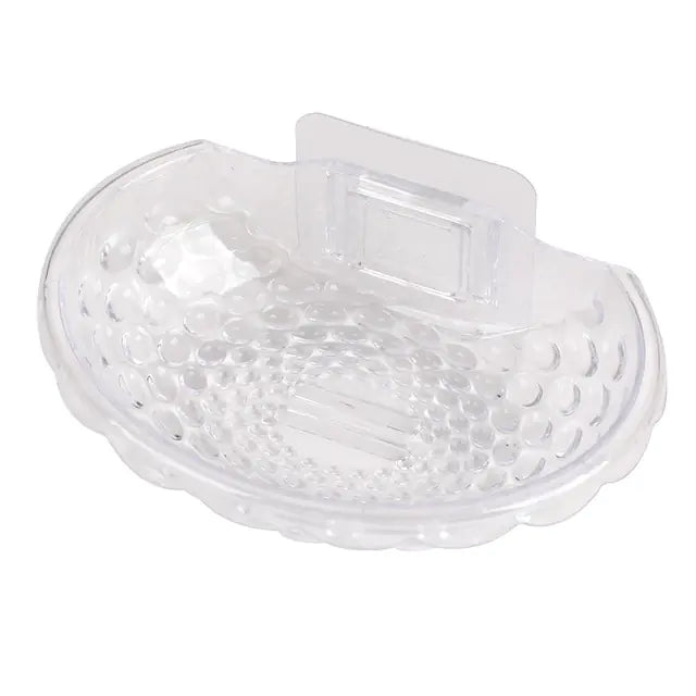 Shell Shape Soap Dish